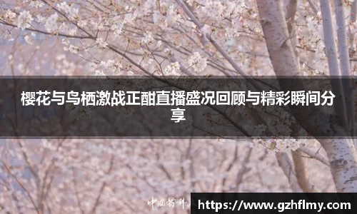 樱花与鸟栖激战正酣直播盛况回顾与精彩瞬间分享